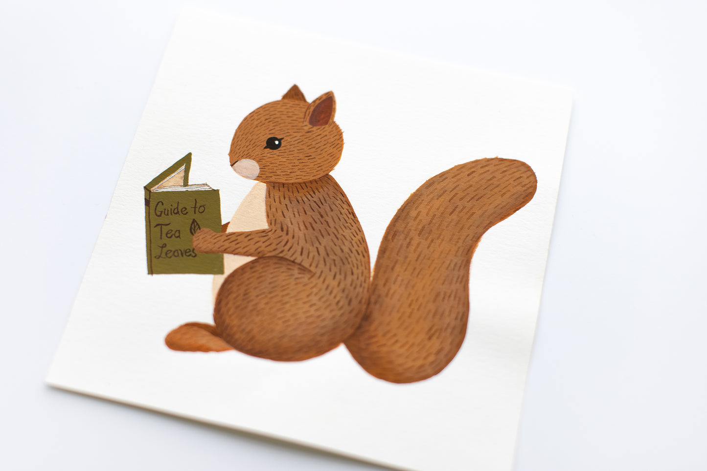 reading squirrel ORIGINAL