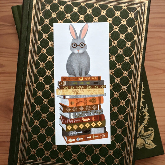 rabbit on books bookmark