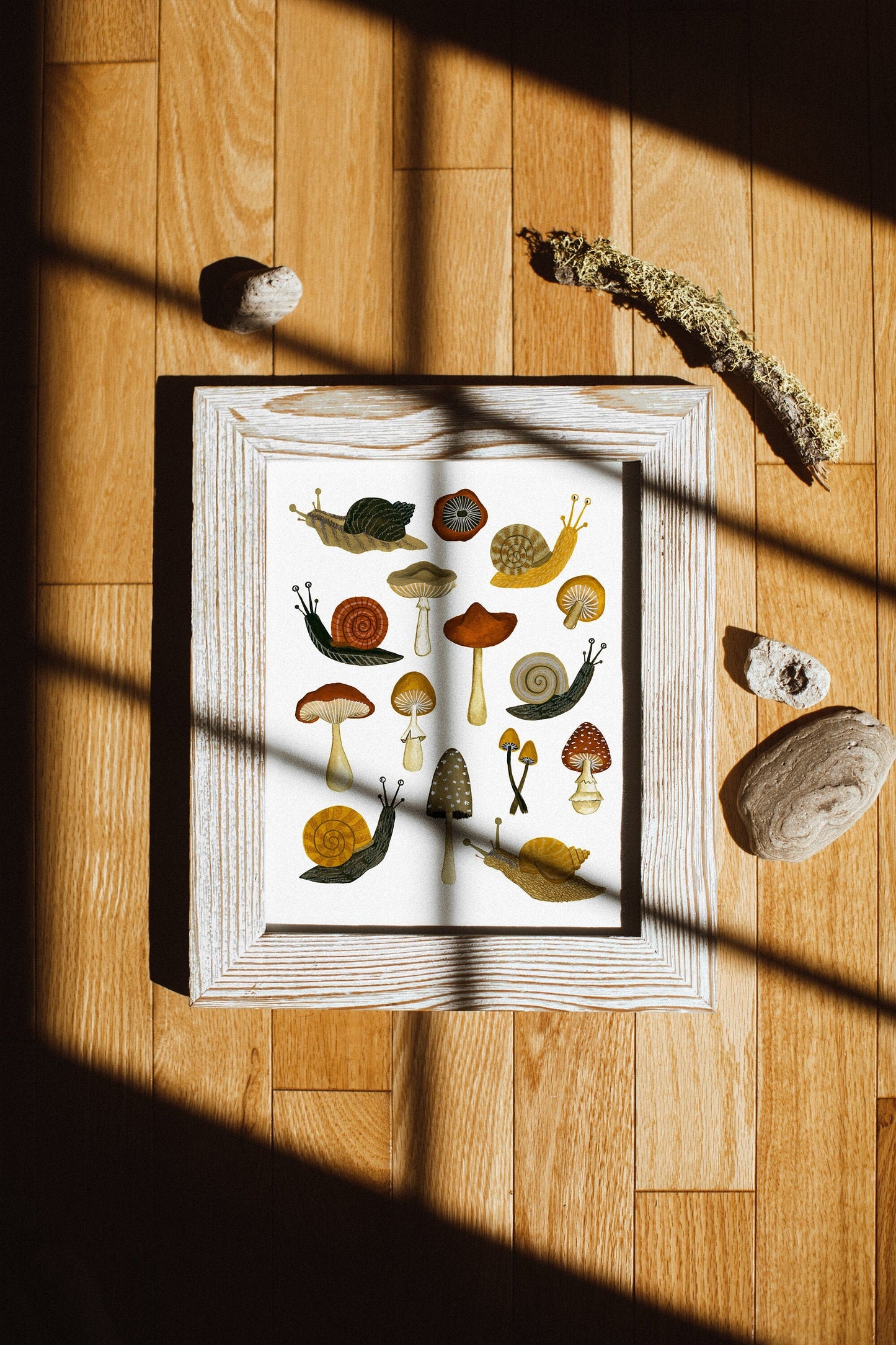 mushrooms & snails | Giclée Art Print