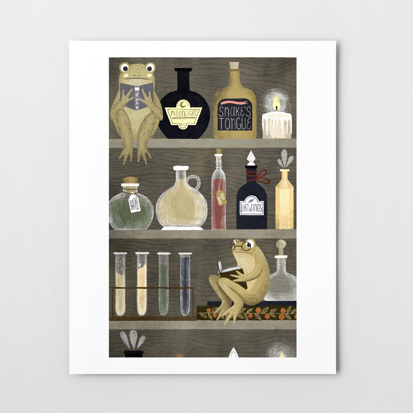 potions bookshelf | Giclée Art Print